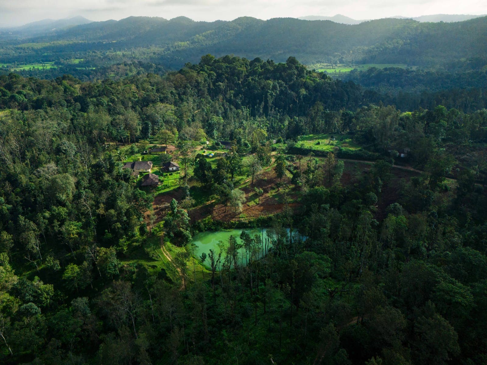 Managed Farmland Investment for Non-Farmers